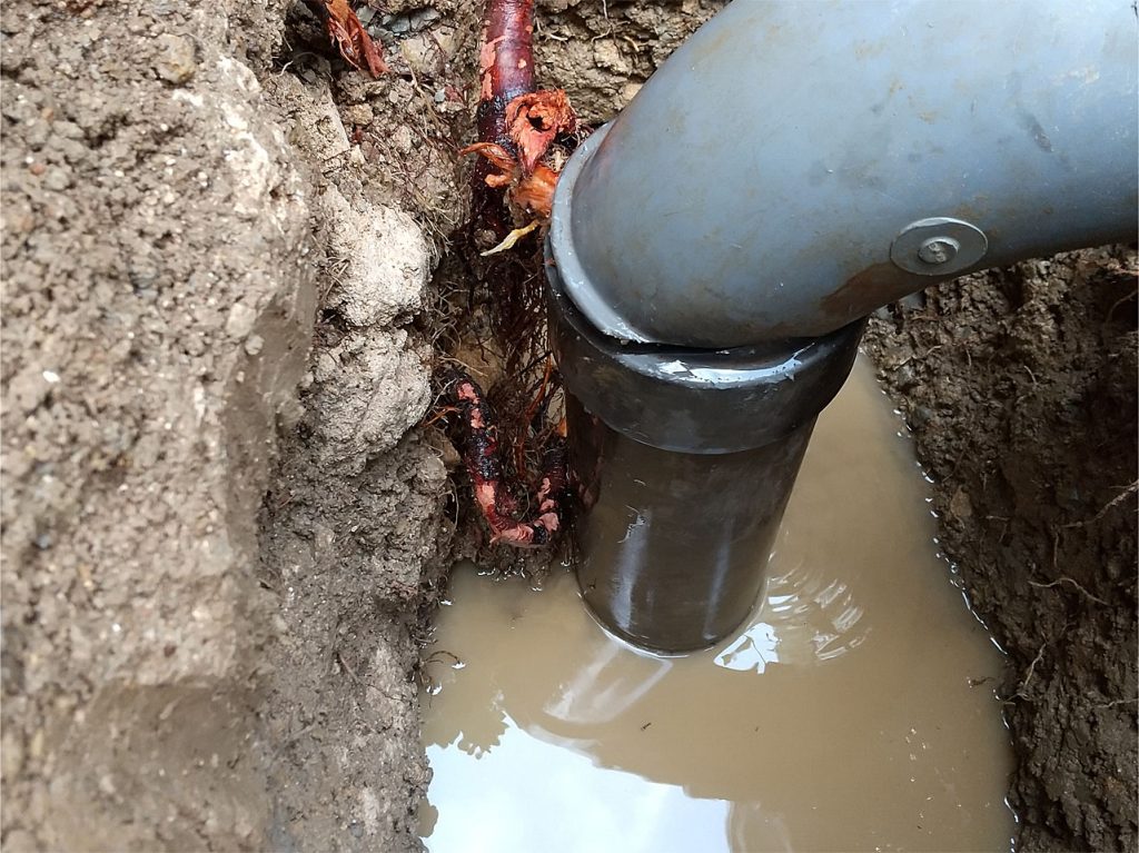排水管を洗浄すると割れ目から根っこが入っているのがはっきりわかる